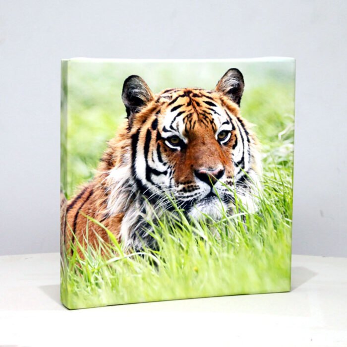 Square Canvas Prints